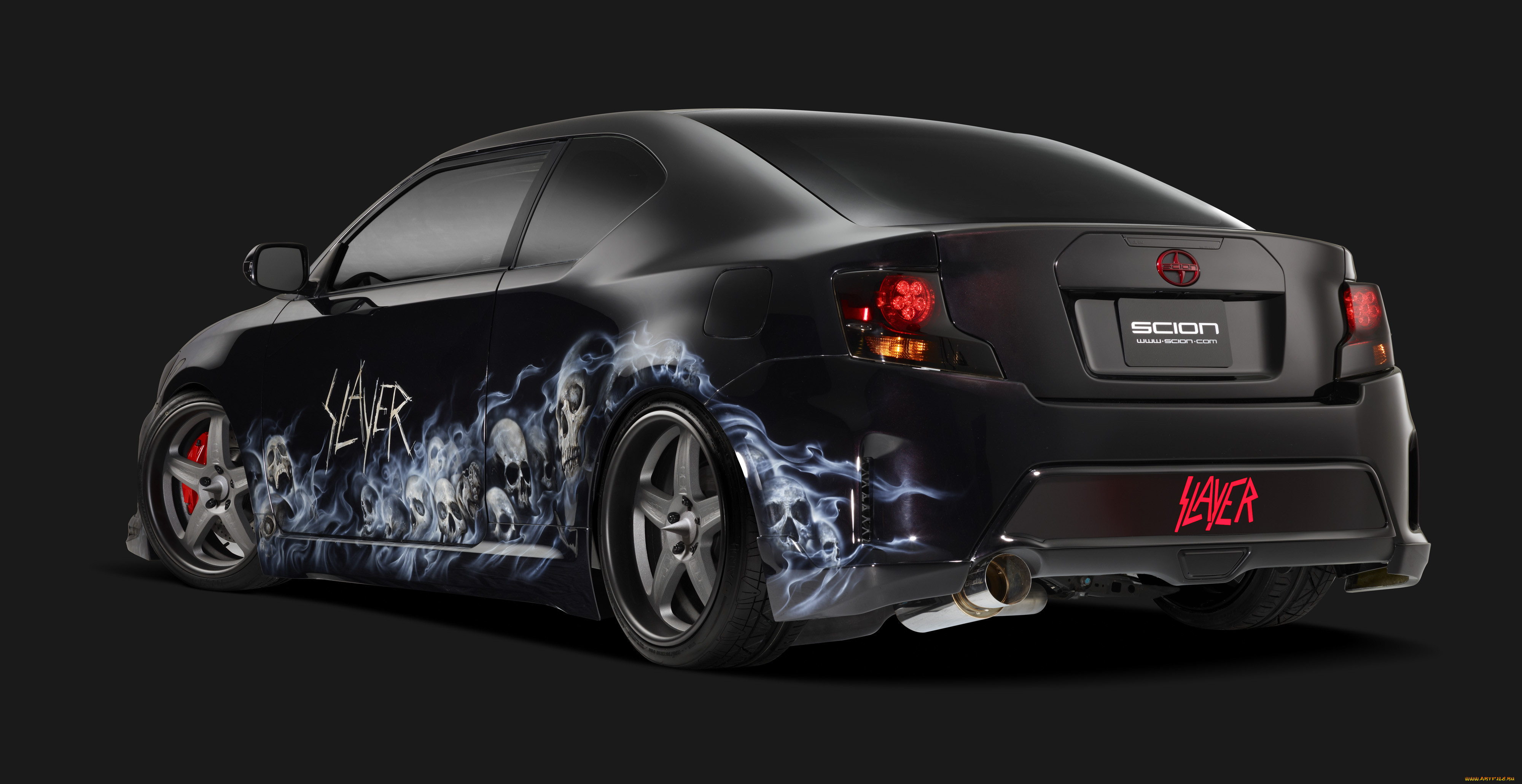 , scion